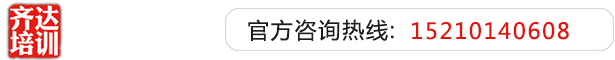 大鸡吧艹逼齐达艺考文化课-艺术生文化课,艺术类文化课,艺考生文化课logo